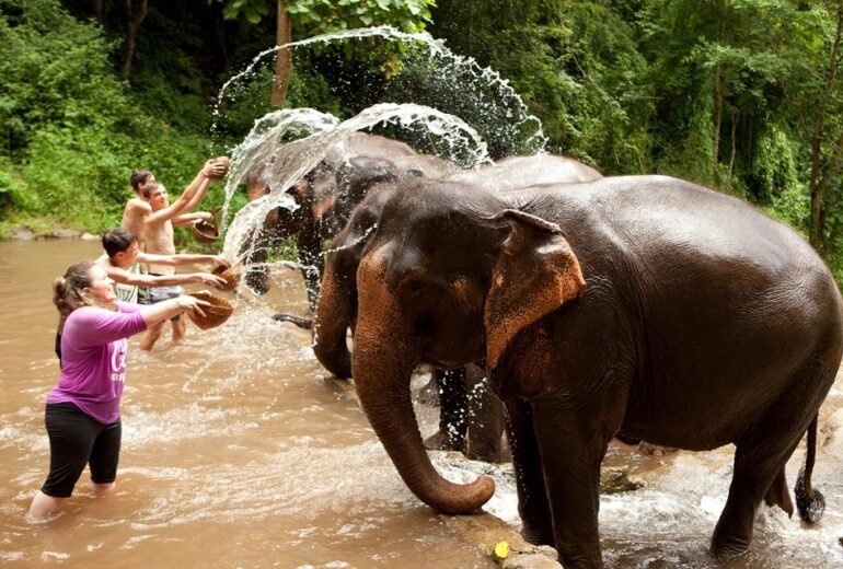 elephant-sanctuaries