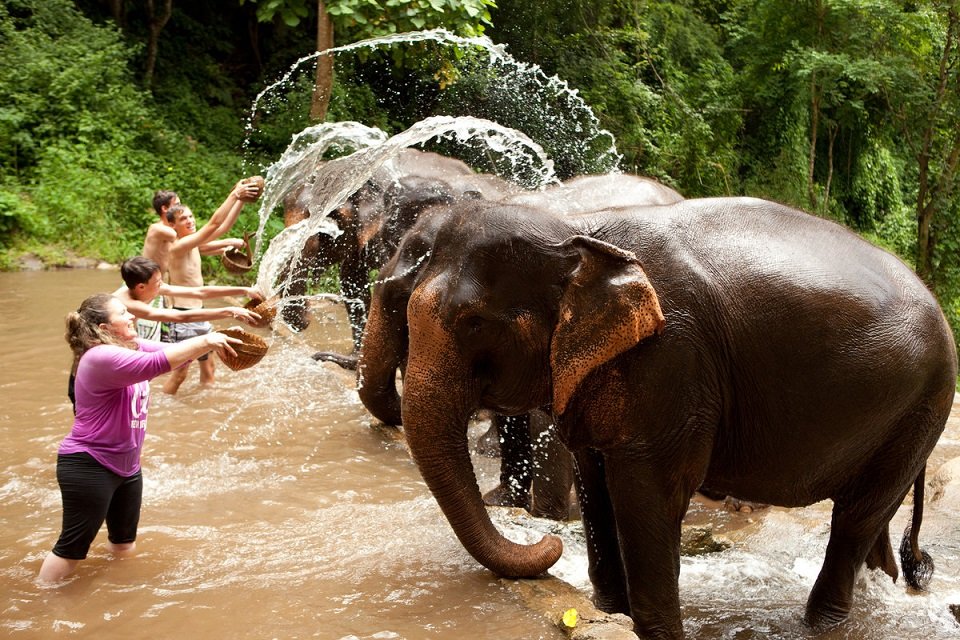 elephant-sanctuaries