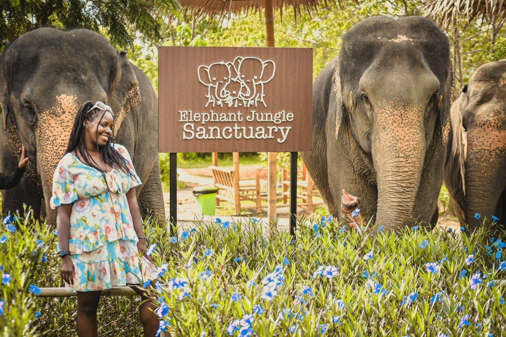 Elephant Jungle Sanctuary Elephant Jungle Sanctuary